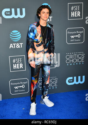 Santa Monica, California, USA. 13th Jan, 2019. Timothee Chalamet 205  attends The 24th Annual Critics' Choice Awards at Barker Hangar on January 13, 2019 in Santa Monica, California Credit: Tsuni / USA/Alamy Live News Stock Photo