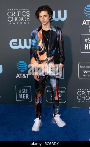 Timothee Chalamet attends the 24th Annual Critics' Choice Awards at Barker Hangar in Santa Monica, Los Angeles, California, USA, on 13 January 2019. | usage worldwide Stock Photo