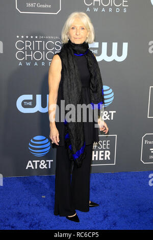 Santa Monica, CA, USA. 13th Jan, 2019. LOS ANGELES - JAN 13: Jan Sewell at the Critics Choice Awards at the Barker Hanger on January 13, 2019 in Santa Monica, CA Credit: Kay Blake/ZUMA Wire/Alamy Live News Stock Photo