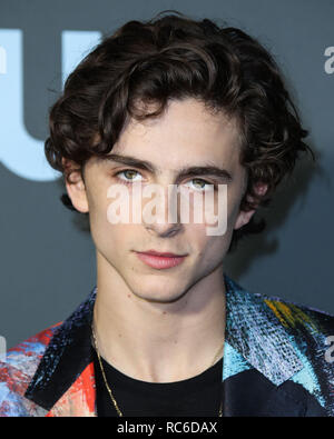 Santa Monica, United States. 13th Jan, 2019. Actor Timothee Chalamet wearing Alexander McQueen arrives at the 24th Annual Critics' Choice Awards held at the Barker Hangar on January 13, 2019 in Santa Monica, Los Angeles, California, United States. (Photo by Xavier Collin/Image Press Agency) Credit: Image Press Agency/Alamy Live News Stock Photo