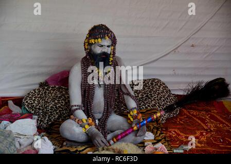 Allahabad, Uttar Pradesh, India. 14th Jan, 2019. Allahabad: A sadhu sit at his tent at Kumbh Region in Allahabad on 14-01-2019. Credit: Prabhat Kumar Verma/ZUMA Wire/Alamy Live News Stock Photo