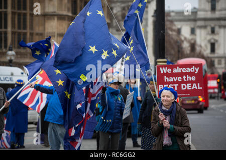 London, UK. 14th Jan 2019. Pro EU Remain supporters outside Houses of Parliament, London, UK 14th January 2019 Pro Remain suppoorters try to gather last ditch support against Brexit ahead of tomorrow's meaningful vote where Members of Parliament will approve or reject Theresa May's controversial plan. However, last month the prime minister dramatically called off the 'meaningful vote', in the face of what had been expected to be a significant defeat at the hands of rebel MPs. Credit: Jeff Gilbert/Alamy Live News Stock Photo