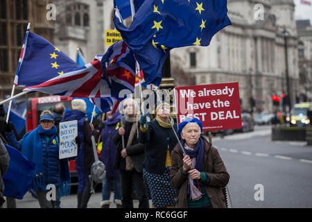 London, UK. 14th Jan 2019. Pro EU Remain supporters outside Houses of Parliament, London, UK 14th January 2019 Pro Remain suppoorters try to gather last ditch support against Brexit ahead of tomorrow's meaningful vote where Members of Parliament will approve or reject Theresa May's controversial plan. However, last month the prime minister dramatically called off the 'meaningful vote', in the face of what had been expected to be a significant defeat at the hands of rebel MPs. Credit: Jeff Gilbert/Alamy Live News Stock Photo