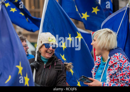 London, UK. 14th January, 2019. Pro remain supporters in good spirits - Leave means leave and SODEM, pro EU, protestors continue to make their points, side by side, outside Parliament as the vote on Theresa May's plan is due the next day. Credit: Guy Bell/Alamy Live News Stock Photo
