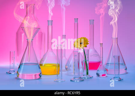 variety of partly filled laboratory glassware including a flower head and some smoke in colorful ambiance Stock Photo