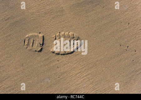 A single shoeprint in wet sand on a beach. Stock Photo