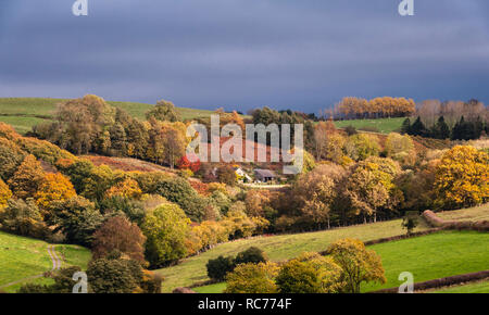 UK. A remote house on the Welsh borders, surrounded by trees in autumn colour Stock Photo