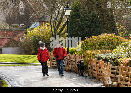 Couple (mature man & woman) chatting together, walking dog on lead in rain & sleet on cold wet day - Museum Gardens, York, Yorkshire, England, UK. Stock Photo