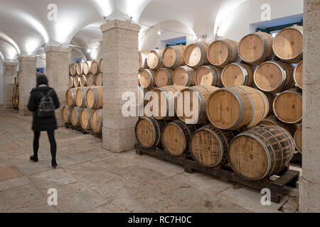 Wine aging in barrels at the cellars of the Marques de Pombal Palace - Palácio do Marquês de Pombal, Oeiras, Portugal, Europe Stock Photo