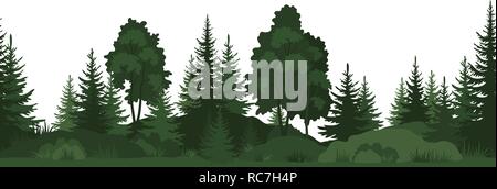 Seamless, Summer Forest Stock Vector