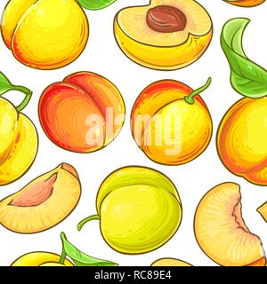 peach vector pattern on white background Stock Vector
