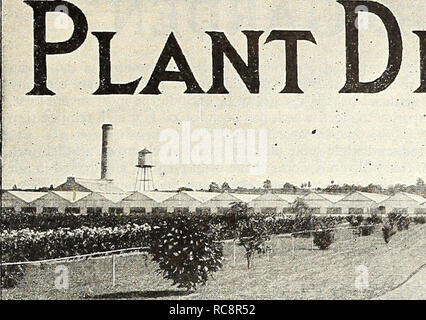 . Dreer's garden book 1923. Seeds Catalogs; Nursery stock Catalogs; Gardening Equipment and supplies Catalogs; Flowers Seeds Catalogs; Vegetables Seeds Catalogs; Fruit Seeds Catalogs. EPARTMENT. Please note that these images are extracted from scanned page images that may have been digitally enhanced for readability - coloration and appearance of these illustrations may not perfectly resemble the original work.. Henry A. Dreer (Firm); Henry G. Gilbert Nursery and Seed Trade Catalog Collection. Philadelphia, Pa. : Henry A. Dreer Stock Photo