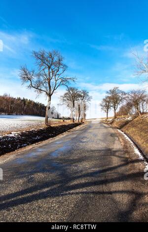 Spring thaw in the forest. Winter snow melts in Czech Republic. Sunny weather at the end of winter. The thaw in the winter. Stock Photo