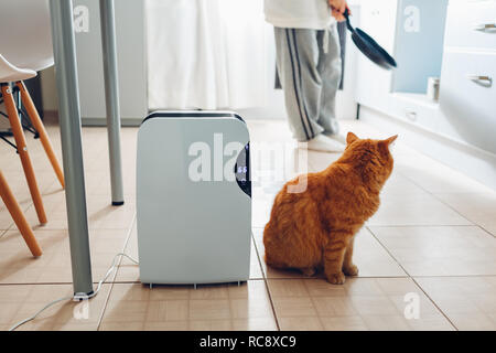 Dehumidifier with touch panel, humidity indicator, uv lamp, air ionizer, water container works at home while woman cooking with cat. Air dryer Stock Photo