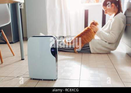 Dehumidifier with touch panel, humidity indicator, uv lamp, air ionizer, water container works at home while woman playing with cat. Air dryer Stock Photo