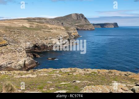 New Island coastline, Malvinas, Falkland Islands, South America Stock Photo