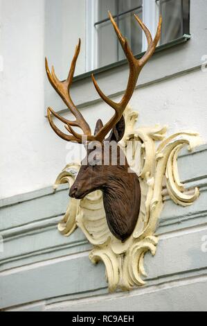 Sculpture of deer head with antlers, Hirschberg castle, rococo castle, Beilngries, Upper Bavaria, Bavaria, Germany
