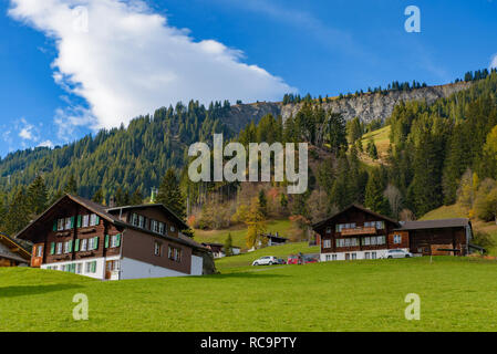 Traditional Swiss style houses on the green hills with forest in the Alps area of Switzerland, Europe Stock Photo