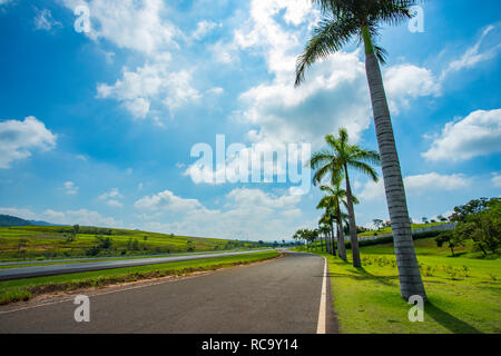 Road with palm trees. Nice asphalt road with palm trees against blue sky and cloud. Stock Photo