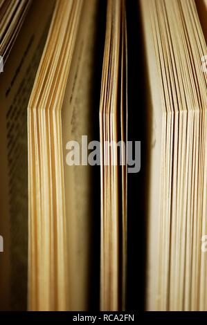 pages of a book Stock Photo
