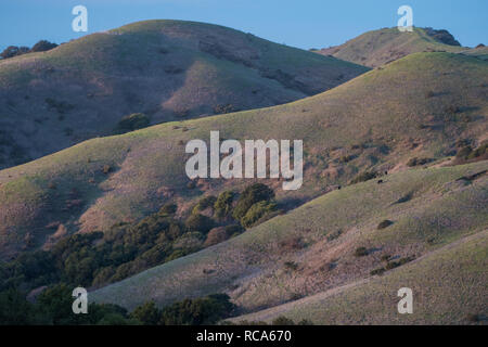 The gently sloping hills of California in the late evening, photographed near Berkeley, CA. Stock Photo
