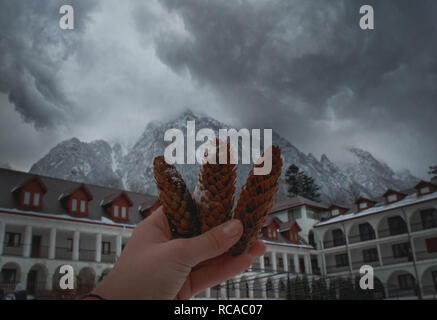 Three Pinecones with Mountains in the background Stock Photo