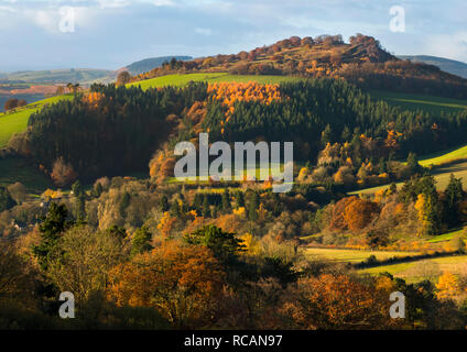 Burrow Hill Iron Age hill fort seen from Hopesay Common, near Craven Arms, Shropshire. Stock Photo