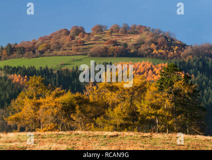 Burrow Hill Iron Age hill fort seen from Hopesay Common, near Craven Arms, Shropshire. Stock Photo