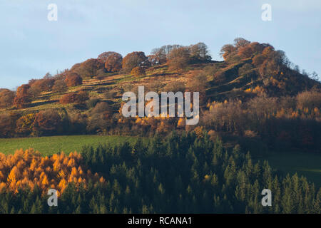 Burrow Hill Iron Age hill fort seen from Hopesay Common, near Craven Arms, Shropshire. Stock Photo