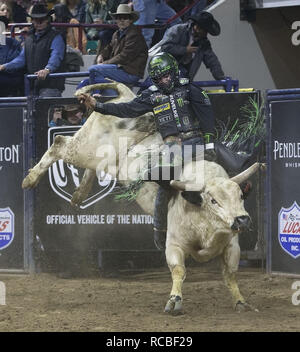 Denver, Colorado, USA. 14th Jan, 2019. Bull Rider CHASE OUTLAW of Hamburg, AR rides Snake Eyes during the 25th. Mexican Rodeo at the National Western Stock Show at the Denver Coliseum Monday evening. Credit: Hector Acevedo/ZUMA Wire/Alamy Live News Stock Photo