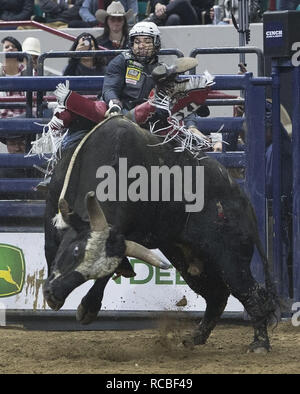 Denver, Colorado, USA. 14th Jan, 2019. Bull Rider RICKY AGUILAR of Stephenville, TX rides Keno during the 25th. Mexican Rodeo at the National Western Stock Show at the Denver Coliseum Monday evening. Credit: Hector Acevedo/ZUMA Wire/Alamy Live News Stock Photo