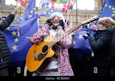 Westminster, London, UK. 15th Jan 2019. With hours to go before the Meaningful Vote, the atmosphere just outside The Palace of Westminster is high with emotion, with both leave and remainers vying for attention, later today there will be a large gathering of People's Vote supporters on Parliament Square later today. Credit: Natasha Quarmby/Alamy Live News Stock Photo