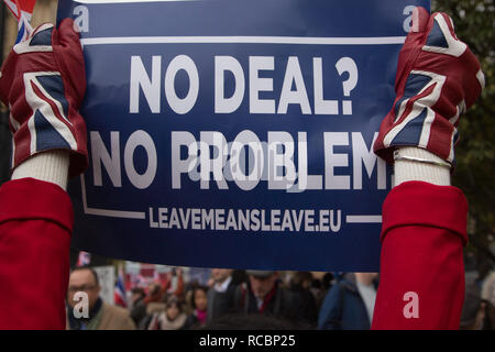 London UK 15th Jan 2019 Anti-Brexit protester demonstrate outside the Houses of Parliament in Westminster. Demonstrators gather on the day of the historical meaningful vote as the British Prime Minister, Theresa May, goes to the House Of Commons in a bid to persuade MPs to back her Brexit deal.Credit: Thabo Jaiyesimi/Alamy Live News Stock Photo