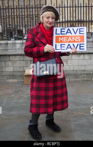 London UK 15th Jan 2019 Anti-Brexit protester demonstrates outside the Houses of Parliament in Westminster. Demonstrators gather on the day of the historical meaningful vote as the British Prime Minister, Theresa May, goes to the House Of Commons in a bid to persuade MPs to back her Brexit deal. Credit: Thabo Jaiyesimi/Alamy Live News Stock Photo