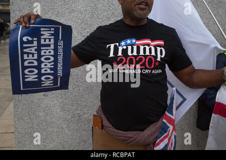 London UK 15th Jan 2019 Anti-Brexit protester demonstrates outside the Houses of Parliament in Westminster. Demonstrators gather on the day of the historical meaningful vote as the British Prime Minister, Theresa May, goes to the House Of Commons in a bid to persuade MPs to back her Brexit deal. Credit: Thabo Jaiyesimi/Alamy Live News Stock Photo