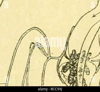 A E Eªª Aeae Ae Ae E A Ae A A C Aºc A Aa C Aa A C A C Aºec Pravklae I Ka Ll1kew 18a 3 A Prak 050rpllao Chun 188s Lt Jppositae Chun 1892 Aa C Aaaºa Aea Aa A A Aa A Ae Ea Aa Aa A Aaa A Ae E Aaeaaa Aa Ae Ea Ae E A E Aaaa C A A E Eaaaa Aa A C