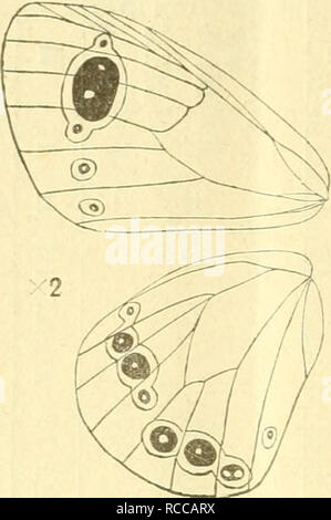 Dobutsugaku Zasshi Zoology Zoology Ae Aºaaeaa Aºae A I 5 A X To X X Lt E X X X X X Ae X A M Ae E A Quot X X X X X