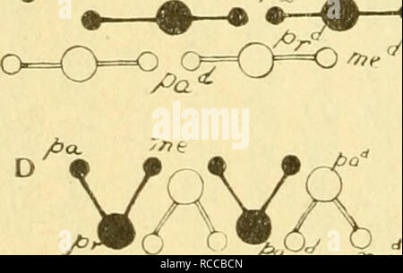 Dobutsugaku Zasshi Zoology Zoology 7 Quot 5 A a C Eªea C C A Ee Aeae A Ae e A C A A Thomas O Lroct 1919 Atlie Kjethoci Or P P Ttie Incisive Index M Rodents Iia 11d Mag Bi Ji Llonclon Ffit Ll Ser Vol 4 A No 22 F J Gt Ss9a29a