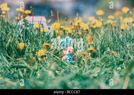 Miniature toy Easter bunny in flowering dandelions in the grass Stock Photo