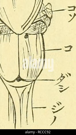 C i A A A A E Wilderae deanae A Eae Awo A A E C C A A Ae A E A A Ee A A A E C C A N A E A E A A A A E A Ea A C A An A Ea A Ae Aea A A E Ee A A E A A A A E E E Cc ac A A E E E A A aee