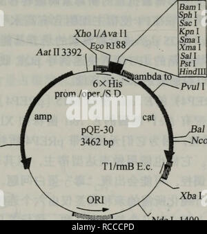 Dna Ji Rna Ji Ben Shi Yan Ji Shu Botany A Aeaea Cae µ Cec E C A 37 1c T E A A Epcraº C C Cc ºaea A A Corva Ae C Cae A Taqeae Ae C E C A Ae Ae 1 Please Note That These Images Are Extracted From Scanned Page Images