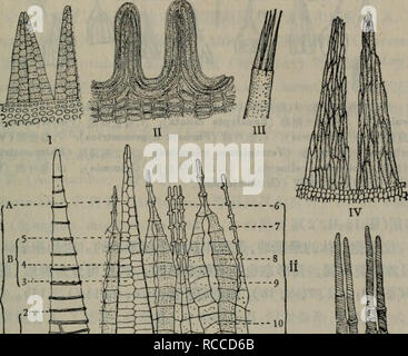 A 19ec Ae C C Ce E A Aec ºa I I A E Ea Ce E I Ii Eaea Ce E I Iii Iv Ae Ece E I V Cea Ce E I I A E A I A E Cab E Ca E A C E Ca E I 1 Cºµea2 Ae ªea3 Eca4 Ae ªea5 A Ei Ii A E A I 6 E Ae Ec A8 E Ae C C A A10 Aºea 7 E Ae I Caºa E A Caºea