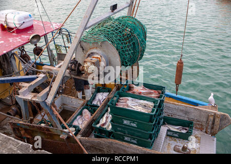 Akaroa, New Zealand - January 7 2019: A fisherman returns with his bins of fresh fish to unload at the wharf Stock Photo