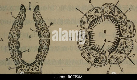 Aeºc Ae E Ae A A A C Ae A B Aeea 1 A A 2 A Ae 3 A Eº 4 A Ae 5ee 6 E Eª Eº E7 Eª E 8 C E 9 Aµc E Aeµ C E E A C A A I Ae Ae Aeµ C C Spcmgillidae E Cc Aeµ C I A A C A A I E Ae E C Ae E Cc C I Eª Eª Ca C C C A ae Eeª Eª C Aeae C E ªcaeµ C