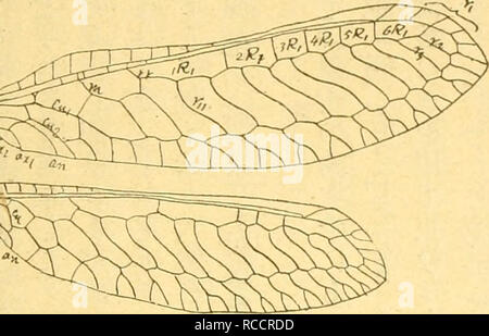 Dobutsugaku Zasshi Zoology Zoology Ae Aºaaea A ae Ae 508 A A A A Ae A Eaaca Ae A E C E A Aba A Ac A A Boaea aea A Ae a a C Ea A E A A A A C ªbc C Cºc A C E C a C ºaaa A L Llmbricls Castaneusa Aea C Eaac aaª