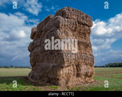 Bales of straw on a stubble field in Niedersachsen near Barum, Elbmarsch, Germany. Stock Photo