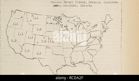 . Diseases of cereal and forage crops in the United States in 1922. Grain Diseases and pests United States; Forage plants Diseases and pests United States. FLiA - rust orth Dckota; July 2.8, Madison, Wisconsin. 242. Counties from which rust has been reported on cultivated flax to the Plant Disease Survey, 1904.1922^ R: Reported on cultivated flax to the Plant Disease Purvey, locality not given. A: On Linum usitQtissin:um, (J. G. Arthur, iU km, Fl. 7^: 101-102. 1907) (a): On Linum spp.(Arthur), 1. c.) +: On Linum spp., counties (Patterson, Diehl, a Cash, U. 3. D. A. Circ- 195. 1922).. *: Domini Stock Photo
