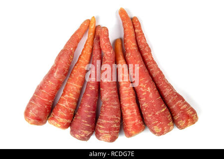 Red Carrots isolated on white background Stock Photo
