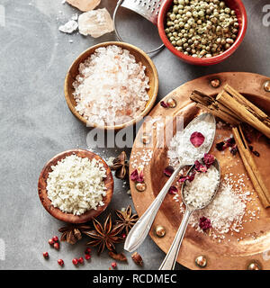 Assorted rock and sea salts with dried aromatic spices including star anise, cinnamon and peppercorns on grey wit copy space in square format Stock Photo