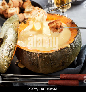 Gourmet Swiss cheese fondue served in a pumpkin or squash with two forks dipping toasted croutons in a close up view Stock Photo